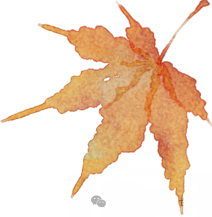DƬ