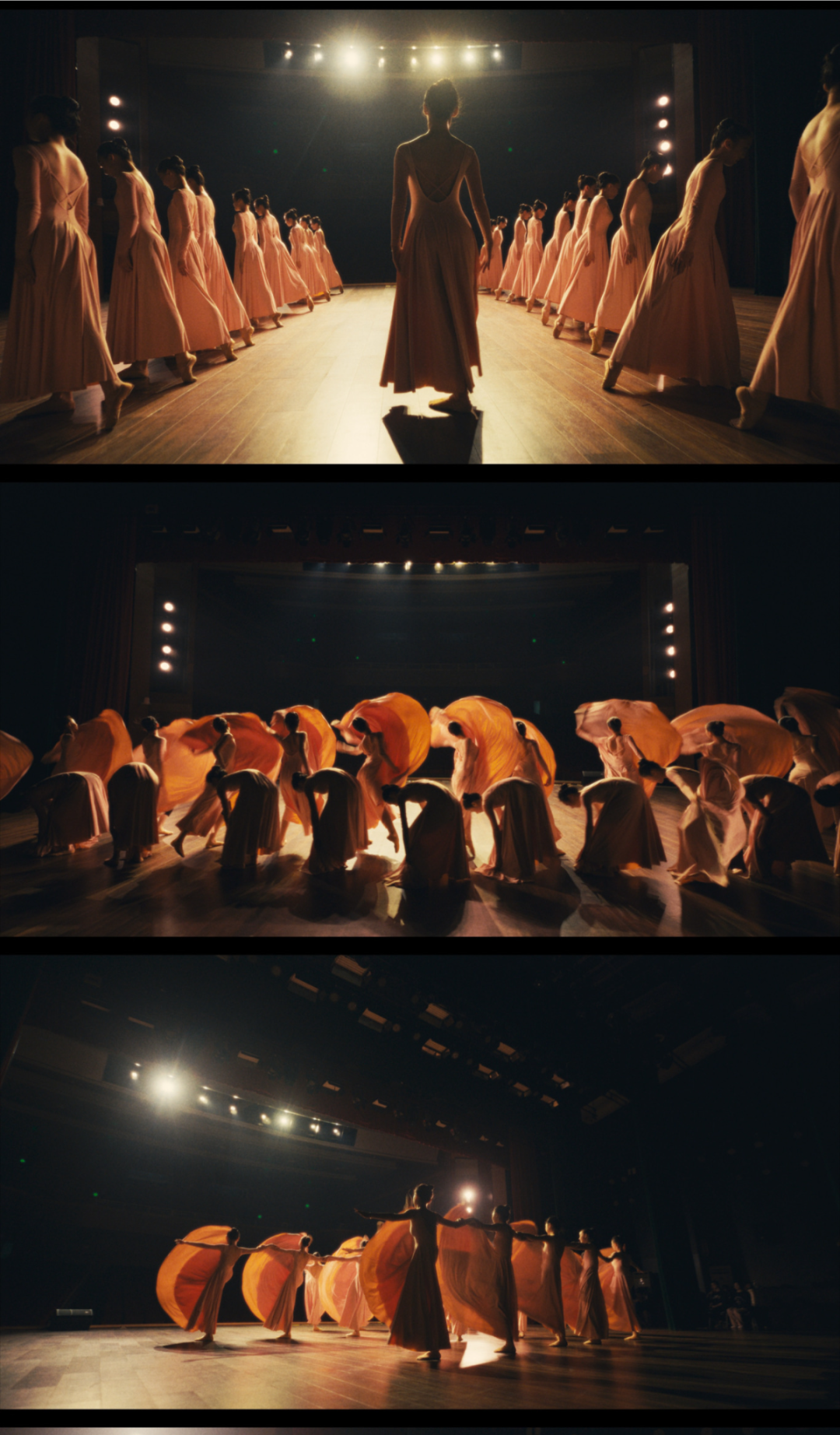 0306ec2fe476b23c5406d67934a829d1 2.JPG