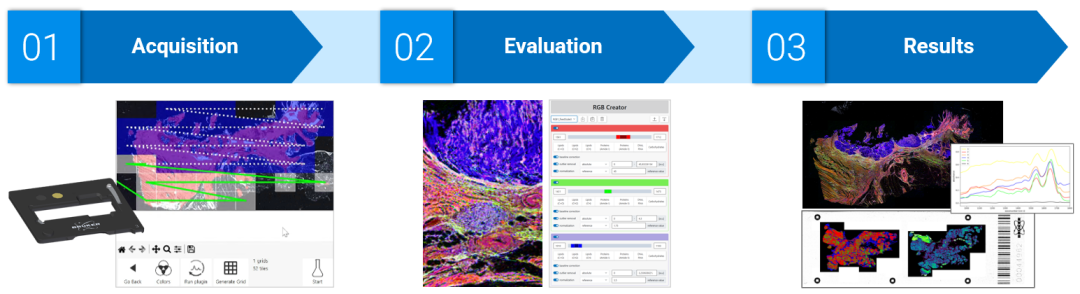 金貝爾分享：新品駕到|體驗光速紅外成像帶來的無限可能