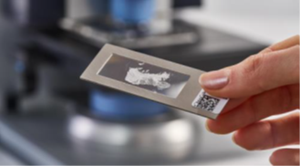 金貝爾分享：新品駕到|體驗光速紅外成像帶來的無限可能