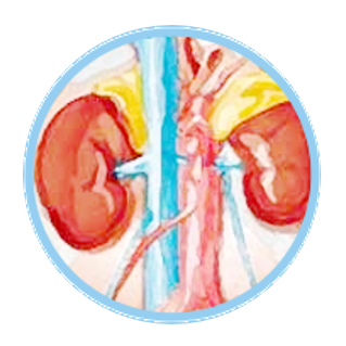 为什么要用静脉营养袋“全静脉营养治疗”知多少_https://www.jmylbn.com_新闻资讯_第13张