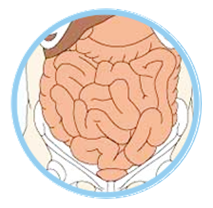 为什么要用静脉营养袋“全静脉营养治疗”知多少_https://www.jmylbn.com_新闻资讯_第11张