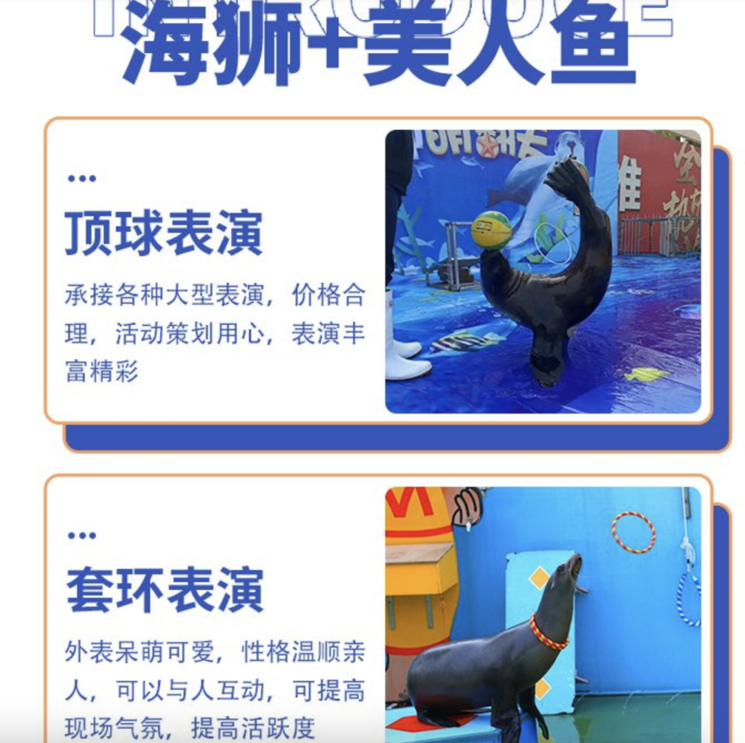 以租赁5天为例,租赁一只企鹅的价格为4.