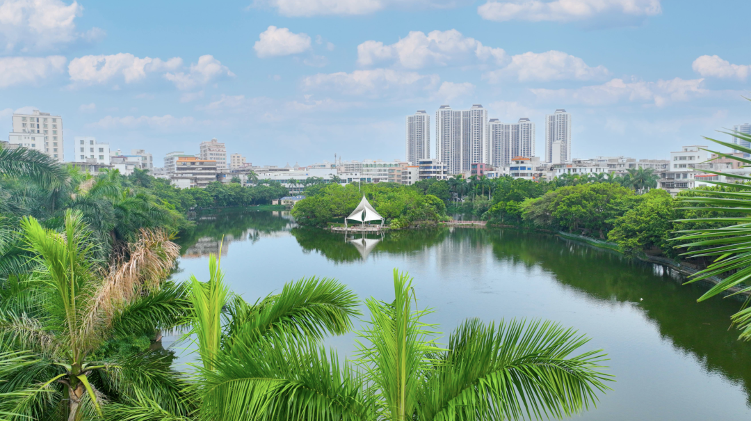 霞湖公园。吴东俊 摄
