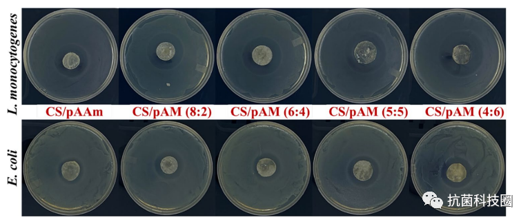 壳聚糖抗菌凝胶怎么用美国康涅狄格大学罗阳超教授Adv. Compos. Hybrid Mat.：抗菌活性增强的壳聚糖／聚合物双网络水凝胶的构建与表征_https://www.jmylbn.com_新闻资讯_第8张