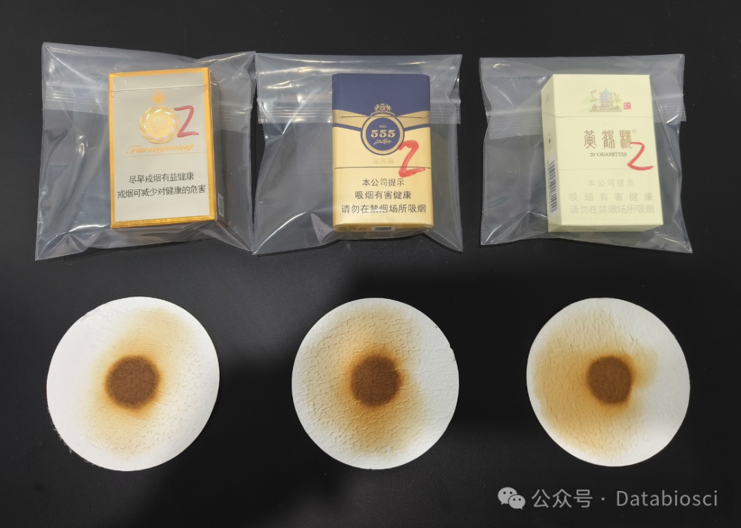 3 款烟样实测 + 现场培训｜德伯分析型吸烟机整套方案验收发货