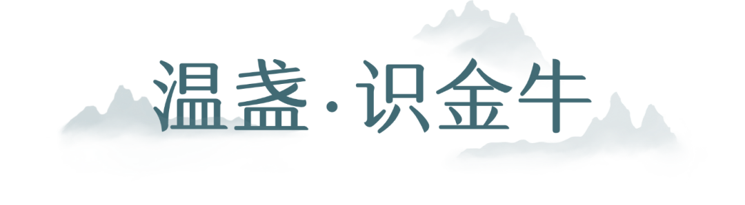 以茶为媒 共话金牛——“投资盖碗茶”走进大湾区插图1