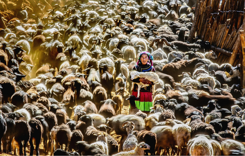 “繁花竞放”全国摄影精品巡展走进鄂托克旗 第5张