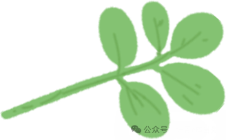 205EE