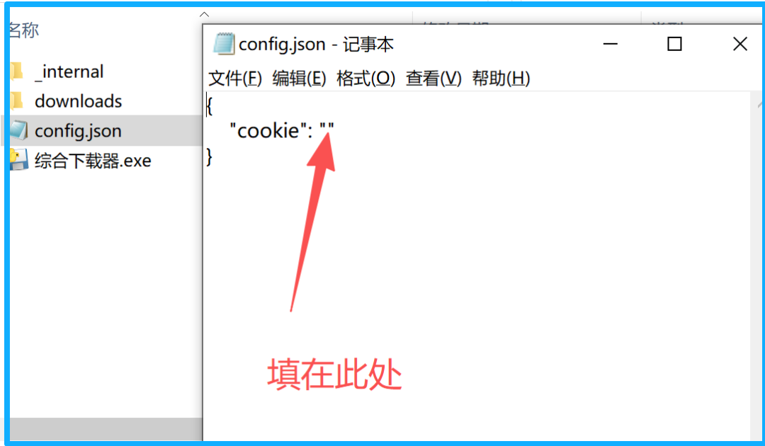 综合下载器【PC端】吾爱大佬私人定制版，“流批”！！！