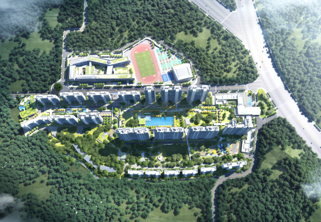 番禺、黄埔、白云四镇全面解除限购，买房应该怎么样选？