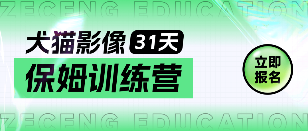 宠物生化机器怎么使用【临床分享】宠物医生必看！犬猫生化指标详细判读指南_https://www.jmylbn.com_新闻资讯_第5张
