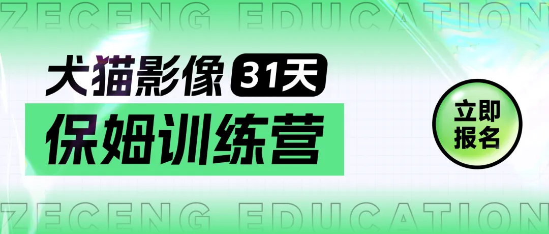 宠物生化机器怎么使用【临床分享】宠物医生必看!犬猫生化指标详细判读指南_新闻资讯_第5张_活检穿刺产品网 宠物生化机器怎么使用【临床分享】宠物医生必看!犬猫生化指标详细判读指南_https://www.jmylbn.com_新闻资讯_第5张