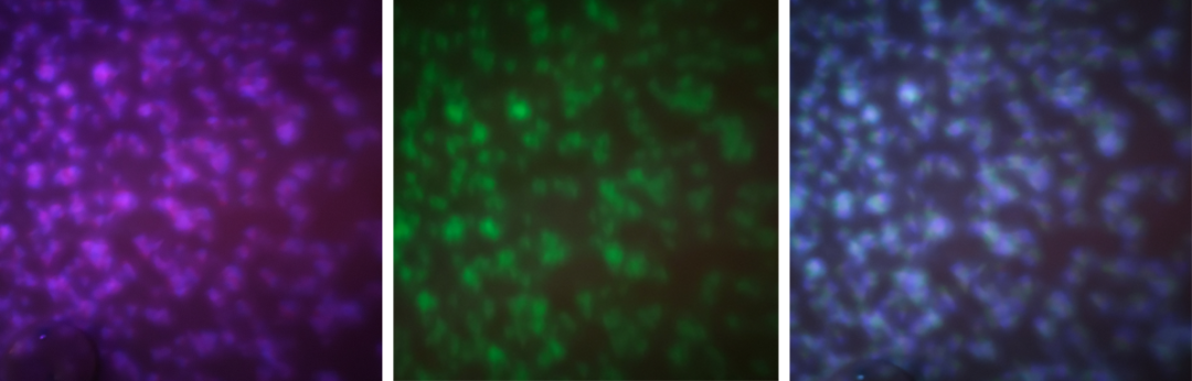 WS2812还能这么玩？！AI控制、自动感温变色...的图27