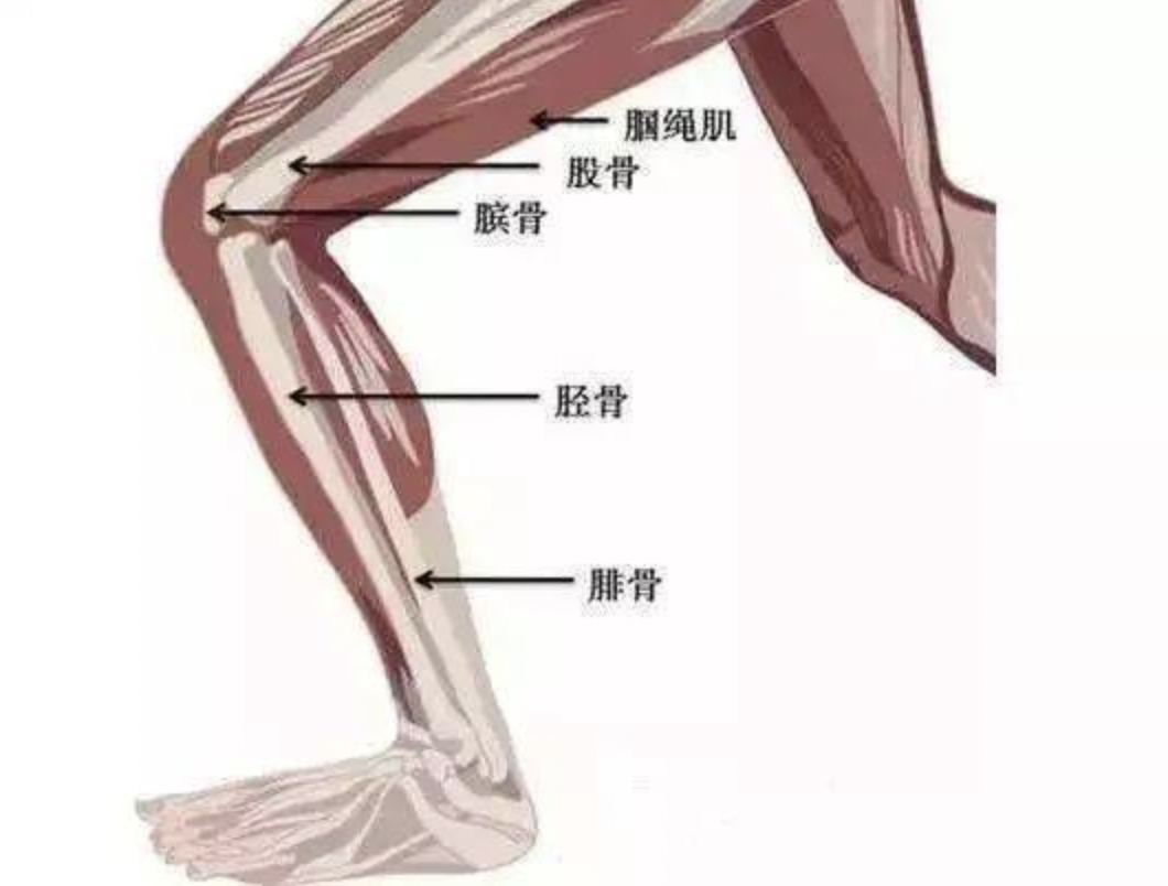 胫腓骨骨折 从损伤机制 手术治疗到并发症处理策略 系统详解 好医术早读文章 好医术 赋能医生守护生命