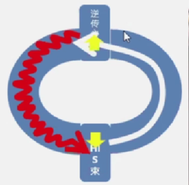 心律解码丨房室结折返性心动过速的心电图特点与机制