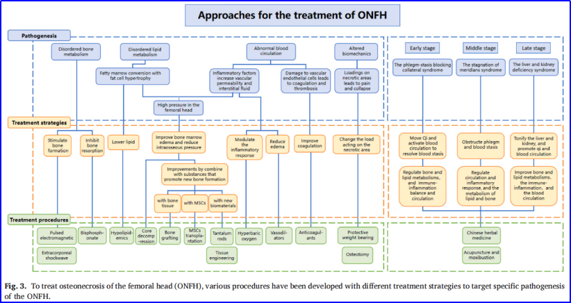 股骨头坏死保髋治疗的现状与最新进展