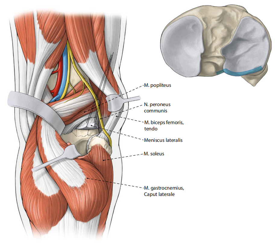 胫骨平台骨折的分型、治疗与入路选择