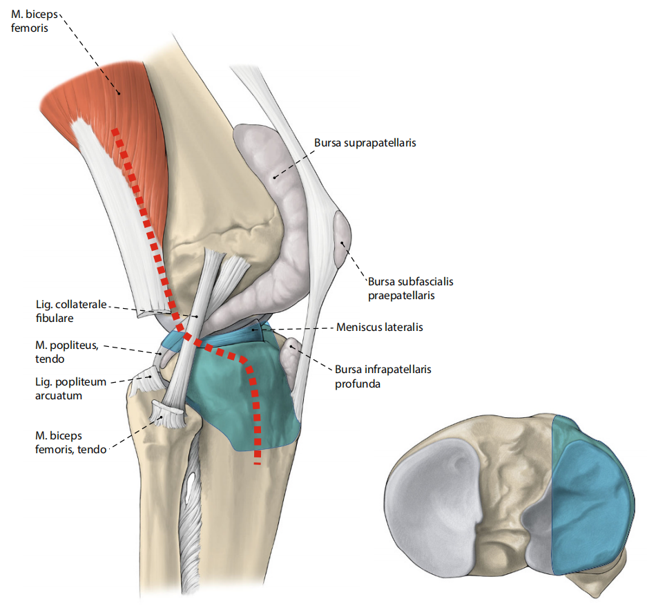 胫骨平台骨折的分型、治疗与入路选择
