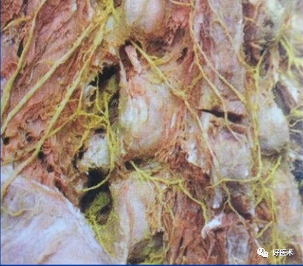 快准稳置入腰椎椎弓根螺钉，这些方法技巧你都掌握了吗？