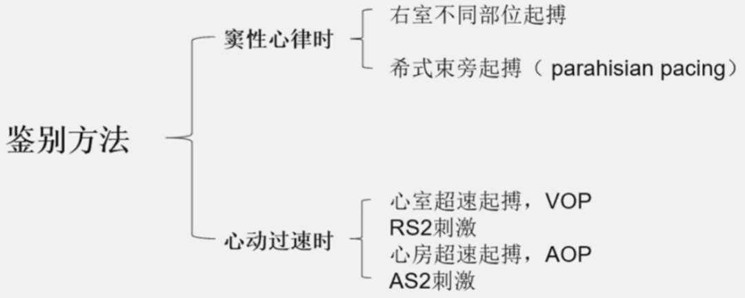 心律解码丨室上性心动过速诊断与治疗，一文详解！