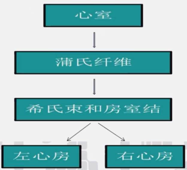心律解码丨室上性心动过速诊断与治疗，一文详解！