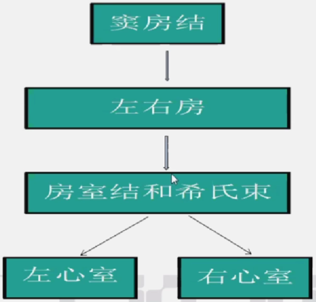 心律解码丨室上性心动过速诊断与治疗，一文详解！