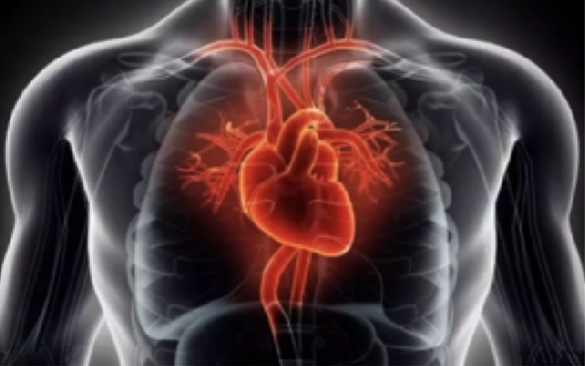 心律解码丨心源性猝死及心脏急救