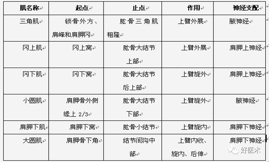 高清影像图解肩关节解剖及诊断