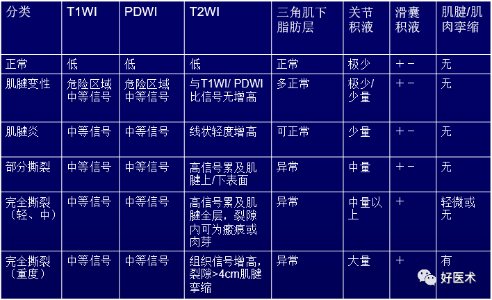 高清影像图解肩关节解剖及诊断