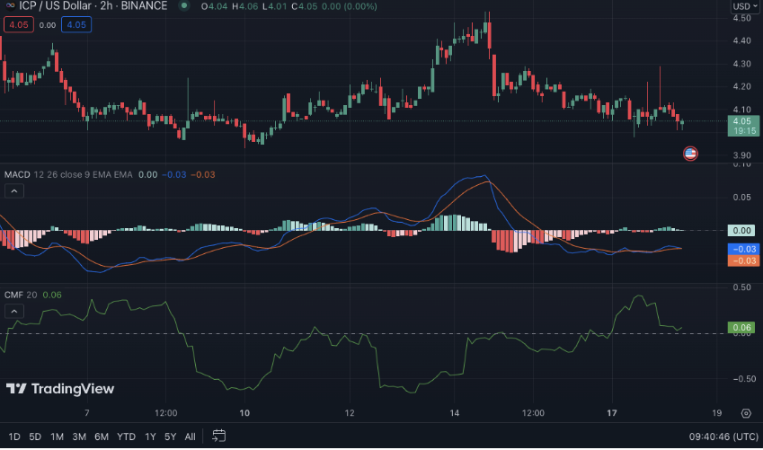 注意：这 5 种山寨币将会“看涨”！