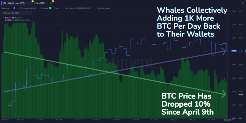 加密货币崩溃会加深吗？底部看到了吗？