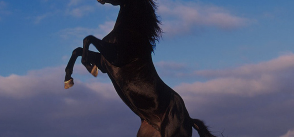 这些加密货币出现显着的增长  有人赚了 450 倍