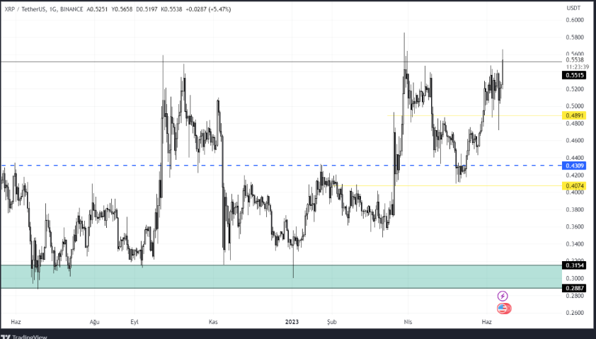 这 6 种山寨币在监管压力下值得关注