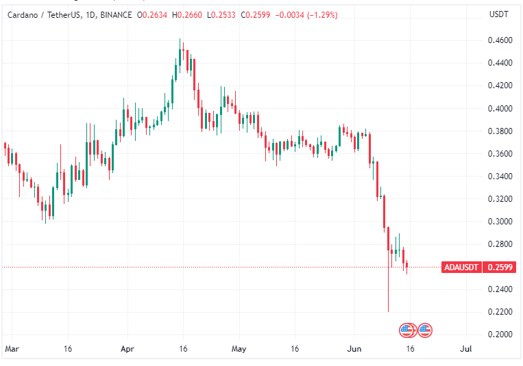 这 6 种山寨币在监管压力下值得关注