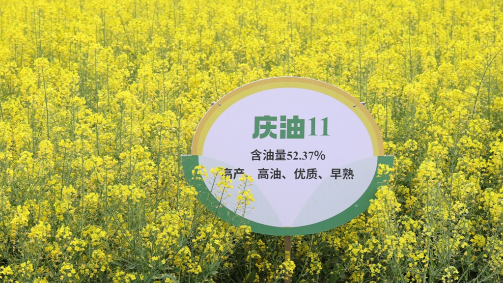 1cbf05150129b4c63f28142d73ca2a08_720