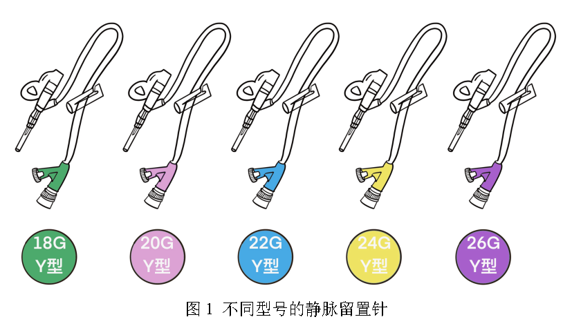 留置针型号g怎么读【静脉导管】留置针的不同颜色有区别吗？_https://www.jmylbn.com_新闻资讯_第4张