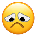 descript