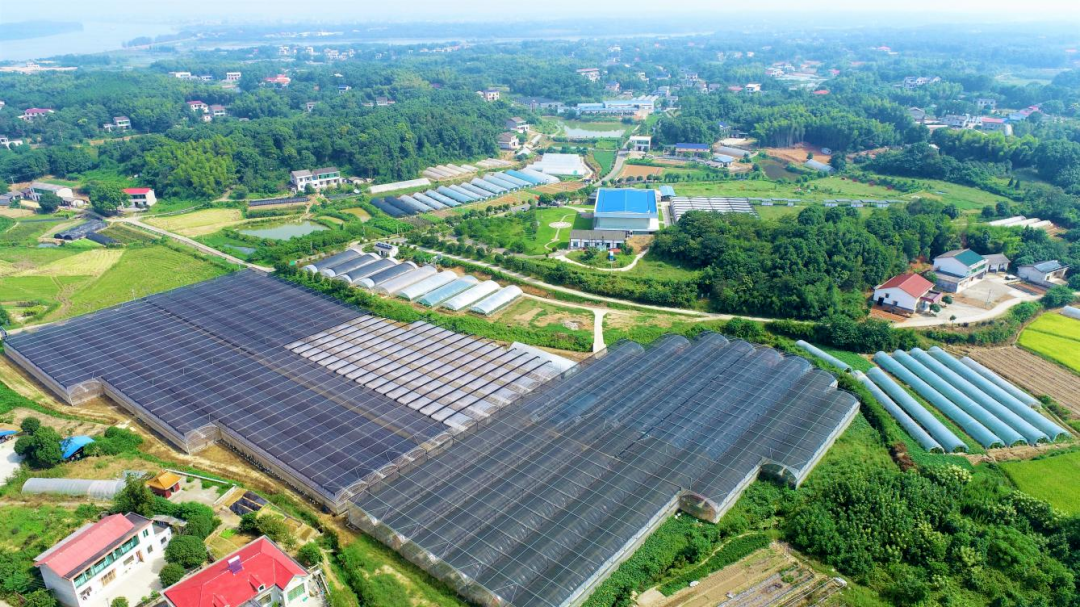 湘阴打造宜居宜业和美乡村争创全省乡村振兴样板区