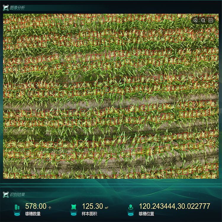 托普云農(nóng)助力遜克打開黑土地豐產(chǎn)“密碼”