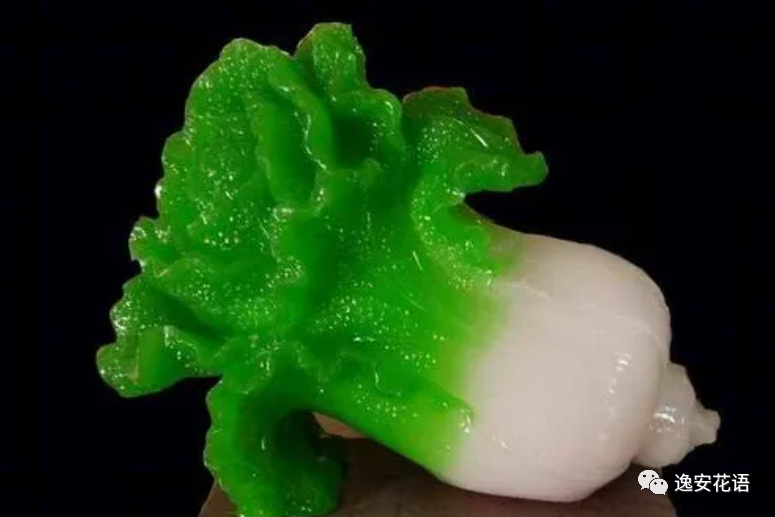 红掌的风水寓意_红掌寓意什么_红掌风水大忌