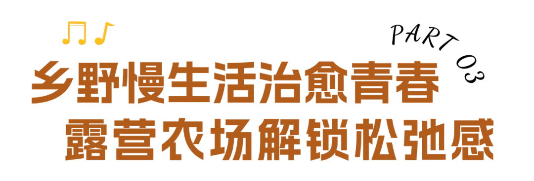 稿定设计-4.png
