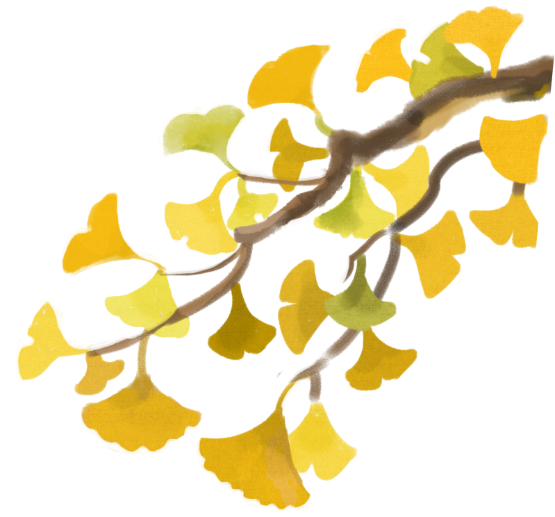 天津歷年本科線分?jǐn)?shù)線_20年天津各大學(xué)錄取分?jǐn)?shù)_天津大學(xué)歷年分?jǐn)?shù)線