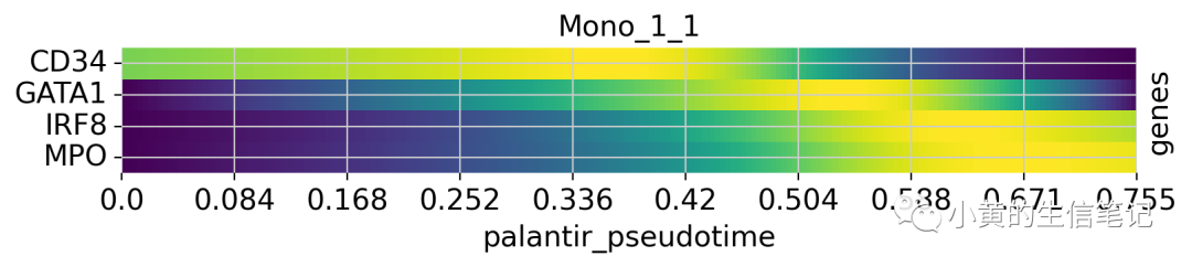 CellRank2教程2-快速入门