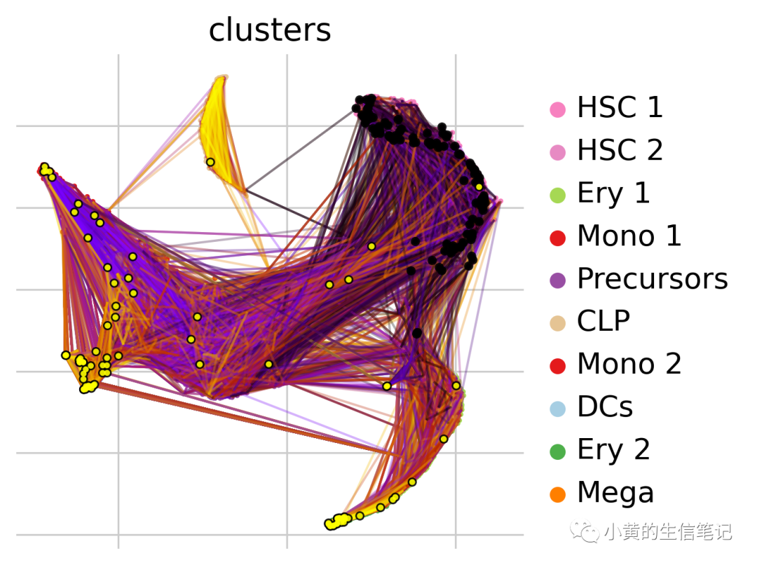 CellRank2教程2-快速入门