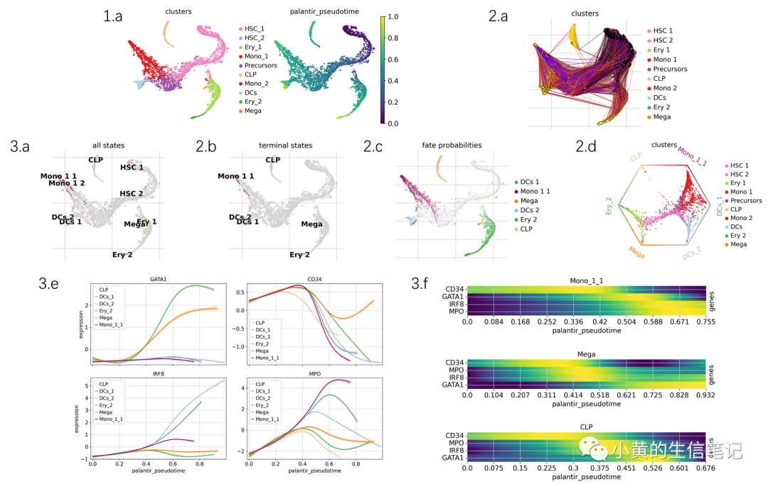 CellRank2教程2-快速入门