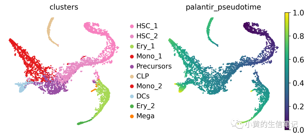 CellRank2教程2-快速入门