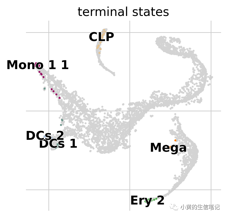 CellRank2教程2-快速入门