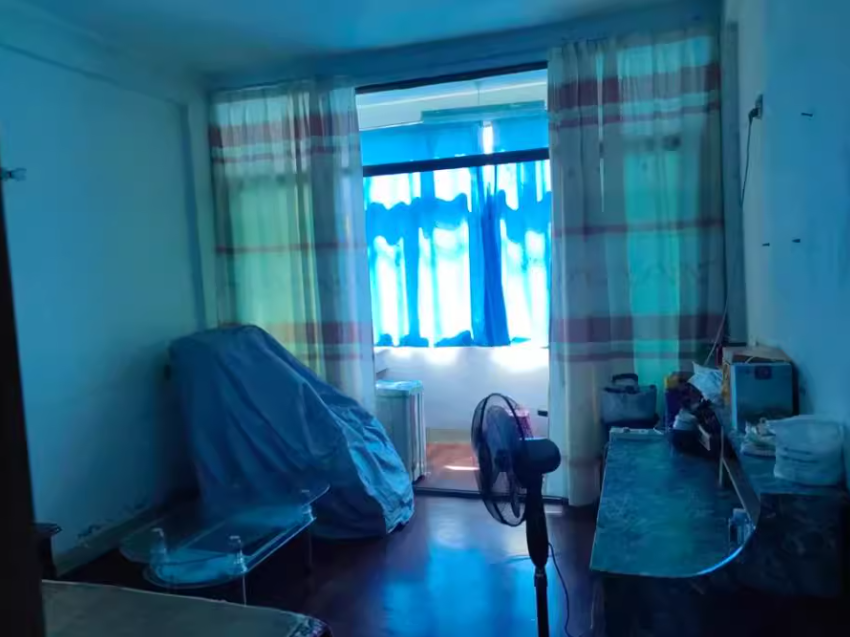 司法拍卖|本期法拍已经上新，快点击链接看看吧！