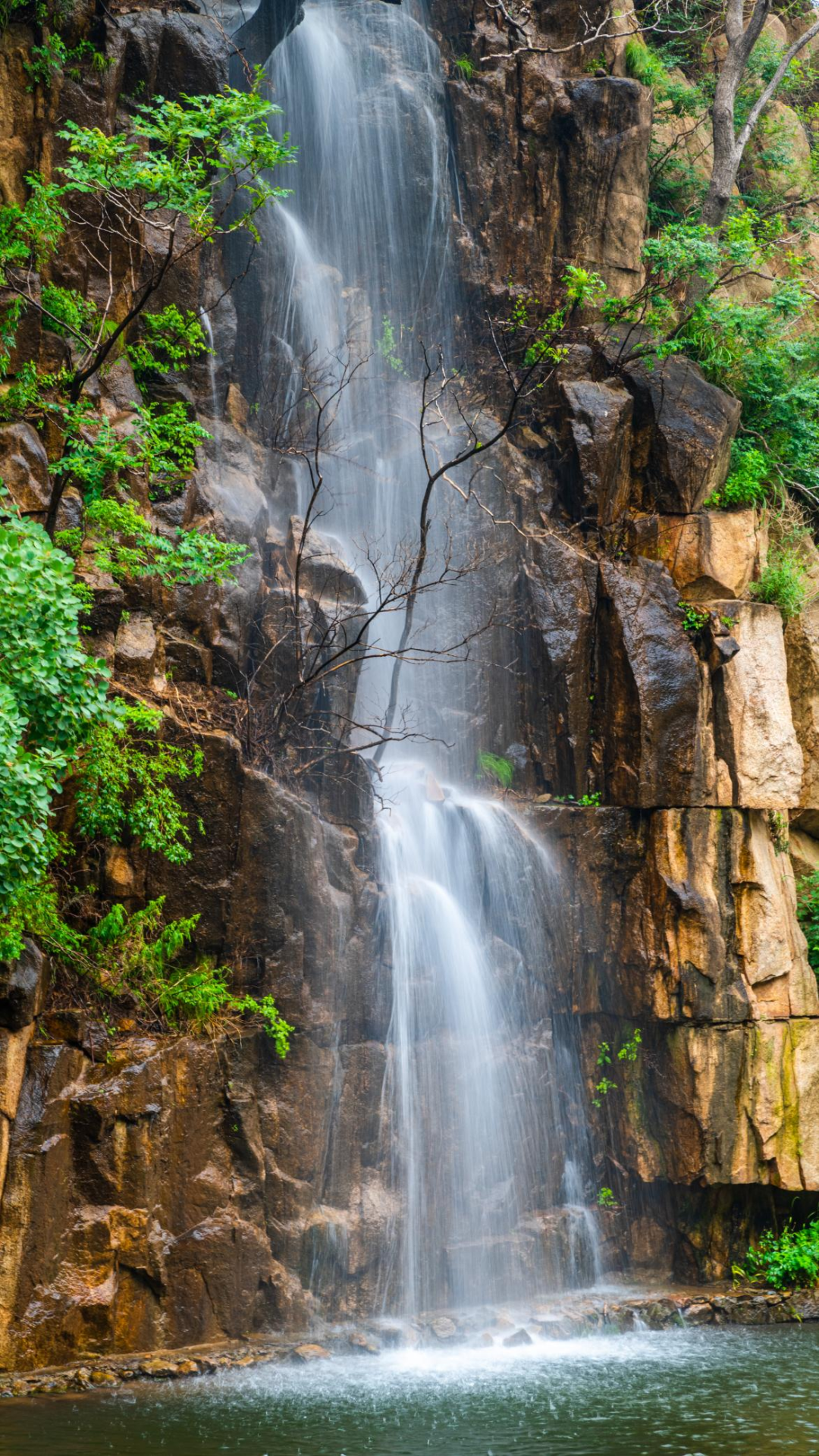 九龙大峡谷南北走向,九曲十八弯,全长约10公里,峡谷中奇峰突兀,瀑布流